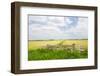 Dutch Fence at the Fields in Agriculture Landscape-Ivonnewierink-Framed Photographic Print