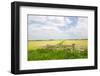 Dutch Fence at the Fields in Agriculture Landscape-Ivonnewierink-Framed Photographic Print