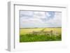 Dutch Fence at the Fields in Agriculture Landscape-Ivonnewierink-Framed Photographic Print