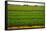 Dutch Fields-gkuna-Framed Stretched Canvas