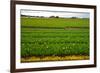Dutch Fields-gkuna-Framed Photographic Print