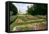 Dutch Garden, Holland Park, London-Peter Thompson-Framed Stretched Canvas