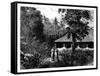 Dutch House in Ternate, Indonesia, 19th Century-Mesples-Framed Stretched Canvas