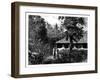 Dutch House in Ternate, Indonesia, 19th Century-Mesples-Framed Giclee Print