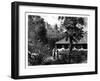 Dutch House in Ternate, Indonesia, 19th Century-Mesples-Framed Giclee Print