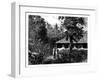 Dutch House in Ternate, Indonesia, 19th Century-Mesples-Framed Giclee Print