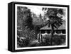 Dutch House in Ternate, Indonesia, 19th Century-Mesples-Framed Stretched Canvas