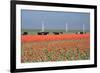 Dutch Landscape: A Dike with Windmills, Cows and Tulips-kruwt-Framed Photographic Print