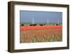 Dutch Landscape: A Dike with Windmills, Cows and Tulips-kruwt-Framed Photographic Print