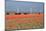 Dutch Landscape: A Dike with Windmills, Cows and Tulips-kruwt-Mounted Photographic Print