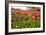 Dutch Landscape with Colorful Tulips in the Flower Fields-Ivonnewierink-Framed Photographic Print