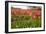 Dutch Landscape with Colorful Tulips in the Flower Fields-Ivonnewierink-Framed Photographic Print