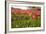 Dutch Landscape with Colorful Tulips in the Flower Fields-Ivonnewierink-Framed Photographic Print