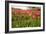 Dutch Landscape with Colorful Tulips in the Flower Fields-Ivonnewierink-Framed Photographic Print