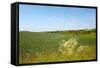 Dutch Landscape with Hills and Corn Fields-Ivonnewierink-Framed Stretched Canvas