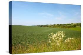 Dutch Landscape with Hills and Corn Fields-Ivonnewierink-Stretched Canvas