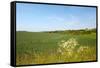 Dutch Landscape with Hills and Corn Fields-Ivonnewierink-Framed Stretched Canvas