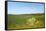 Dutch Landscape with Hills and Corn Fields-Ivonnewierink-Framed Stretched Canvas