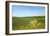 Dutch Landscape with Hills and Corn Fields-Ivonnewierink-Framed Photographic Print