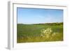 Dutch Landscape with Hills and Corn Fields-Ivonnewierink-Framed Photographic Print