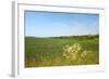 Dutch Landscape with Hills and Corn Fields-Ivonnewierink-Framed Photographic Print