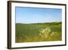 Dutch Landscape with Hills and Corn Fields-Ivonnewierink-Framed Photographic Print