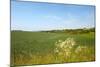 Dutch Landscape with Hills and Corn Fields-Ivonnewierink-Mounted Photographic Print