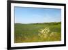 Dutch Landscape with Hills and Corn Fields-Ivonnewierink-Framed Photographic Print