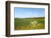 Dutch Landscape with Hills and Corn Fields-Ivonnewierink-Framed Photographic Print