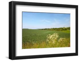 Dutch Landscape with Hills and Corn Fields-Ivonnewierink-Framed Photographic Print