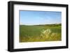 Dutch Landscape with Hills and Corn Fields-Ivonnewierink-Framed Photographic Print