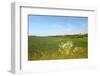 Dutch Landscape with Hills and Corn Fields-Ivonnewierink-Framed Photographic Print