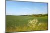 Dutch Landscape with Hills and Corn Fields-Ivonnewierink-Mounted Photographic Print