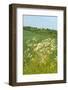 Dutch Landscape with Hills and Corn Fields-Ivonnewierink-Framed Photographic Print