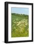 Dutch Landscape with Hills and Corn Fields-Ivonnewierink-Framed Photographic Print