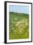 Dutch Landscape with Hills and Corn Fields-Ivonnewierink-Framed Photographic Print