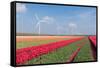 Dutch Landscape with Tulips and Wind Turbines-kruwt-Framed Stretched Canvas