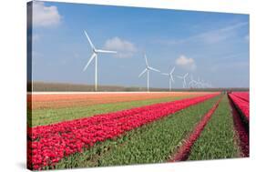 Dutch Landscape with Tulips and Wind Turbines-kruwt-Stretched Canvas