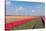 Dutch Landscape with Tulips and Wind Turbines-kruwt-Stretched Canvas