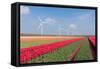 Dutch Landscape with Tulips and Wind Turbines-kruwt-Framed Stretched Canvas