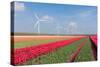 Dutch Landscape with Tulips and Wind Turbines-kruwt-Stretched Canvas