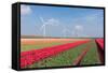 Dutch Landscape with Tulips and Wind Turbines-kruwt-Framed Stretched Canvas