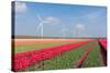 Dutch Landscape with Tulips and Wind Turbines-kruwt-Stretched Canvas