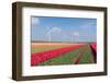 Dutch Landscape with Tulips and Wind Turbines-kruwt-Framed Photographic Print