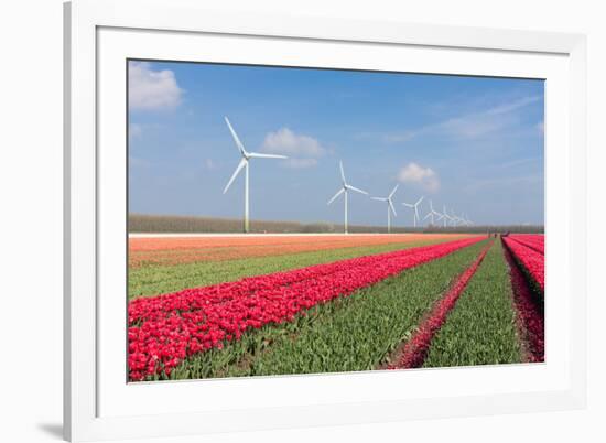 Dutch Landscape with Tulips and Wind Turbines-kruwt-Framed Photographic Print