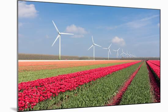 Dutch Landscape with Tulips and Wind Turbines-kruwt-Mounted Photographic Print