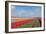 Dutch Landscape with Tulips and Wind Turbines-kruwt-Framed Photographic Print