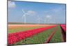 Dutch Landscape with Tulips and Wind Turbines-kruwt-Mounted Photographic Print