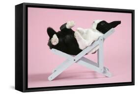 Dutch Rabbit in a Deckchair-null-Framed Stretched Canvas