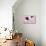 Dutch Rabbit in a Deckchair-null-Stretched Canvas displayed on a wall